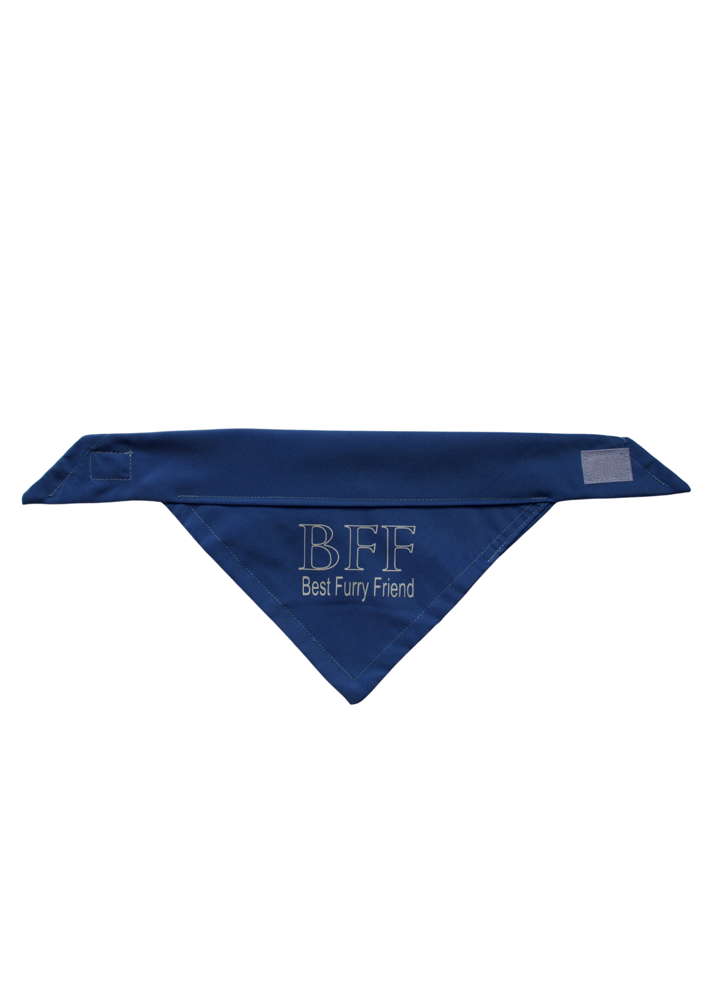 Best Furry Friend pet bandana