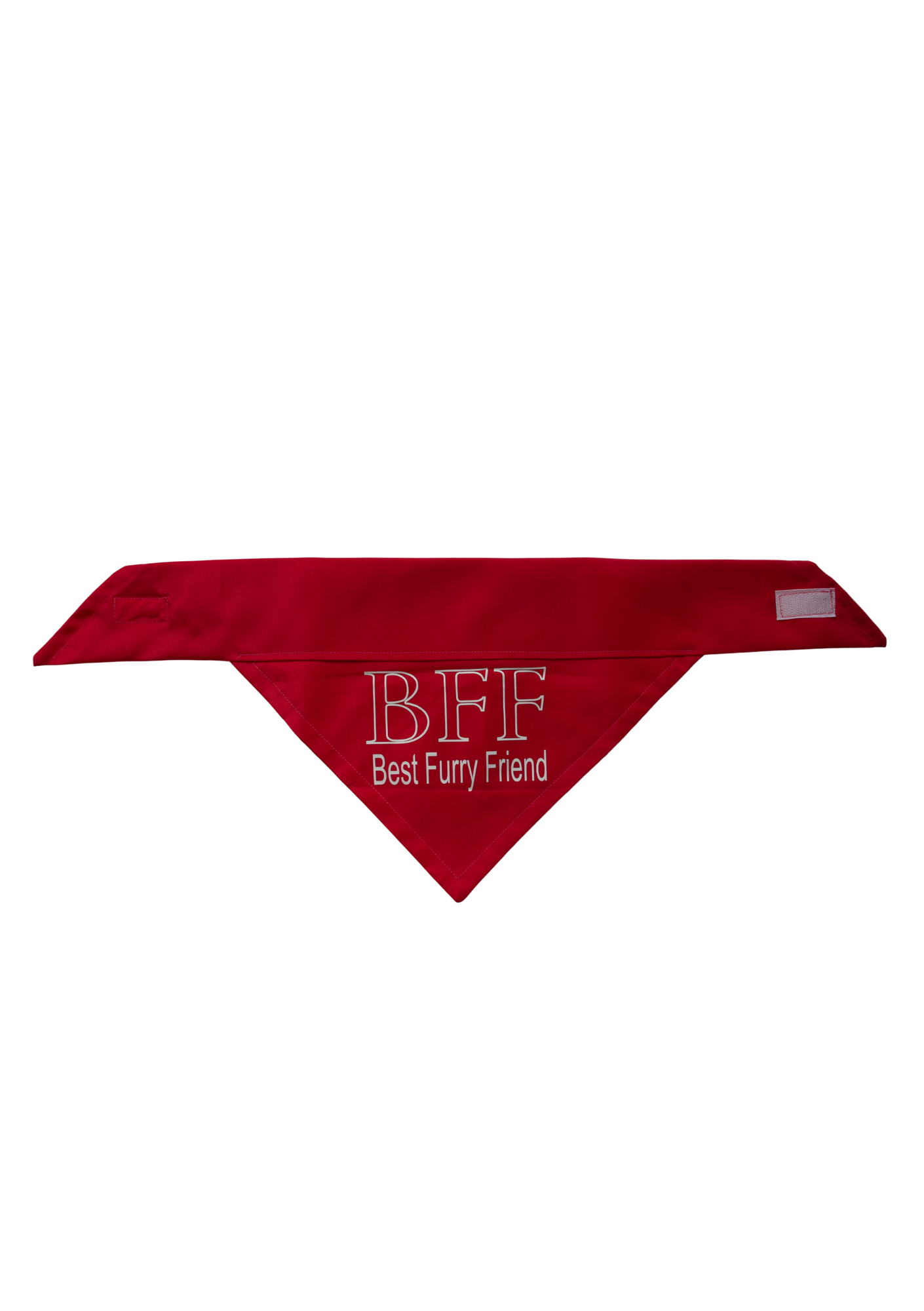 Best Furry Friend pet bandana