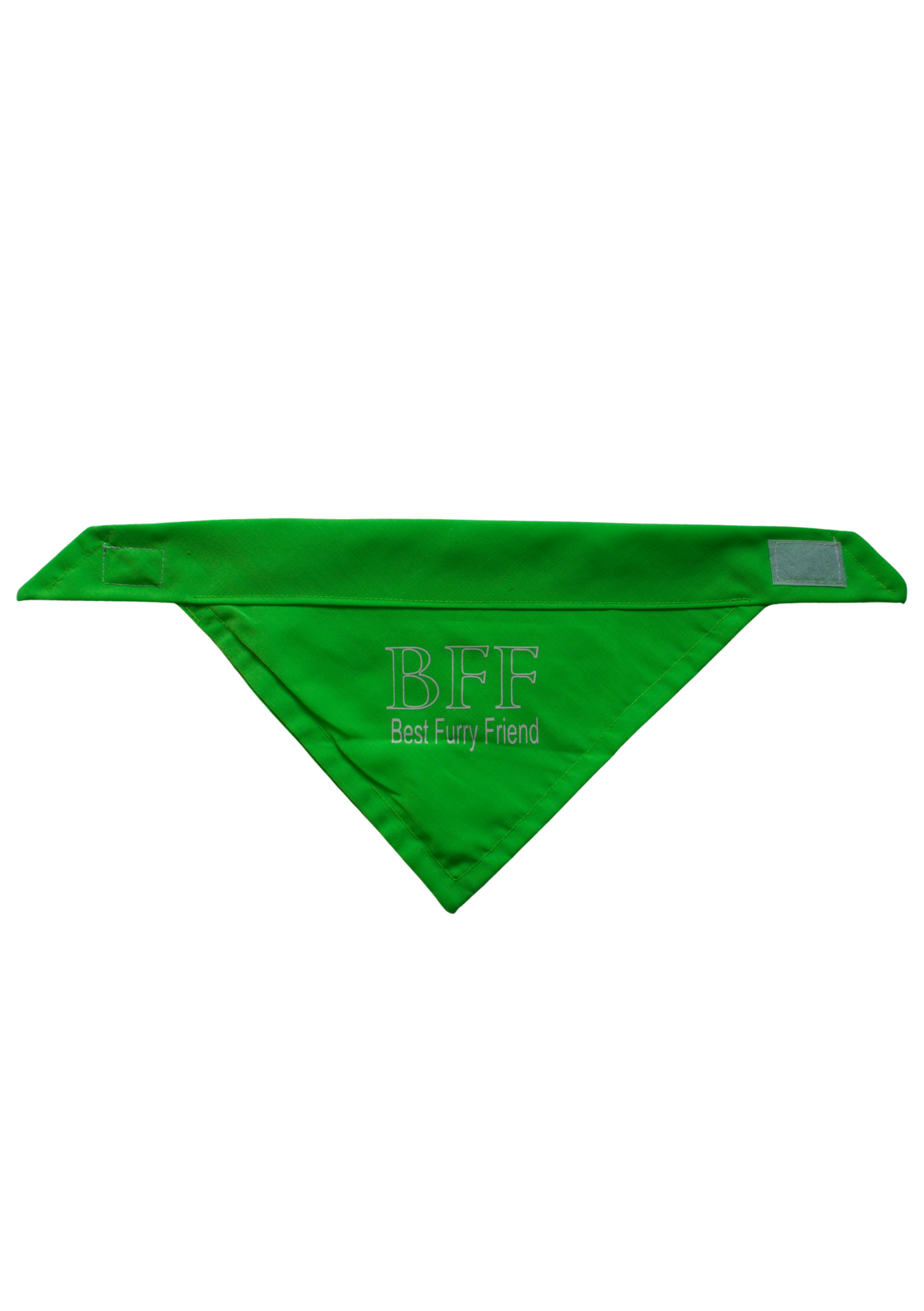 Best Furry Friend pet bandana
