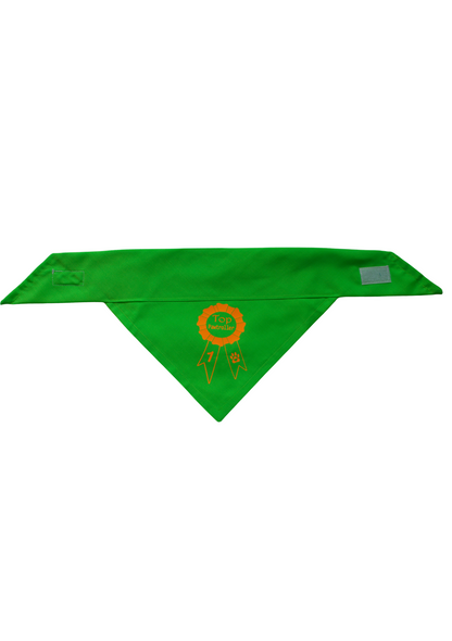 Top pawtroller pet bandana